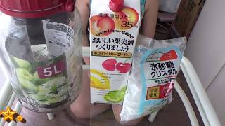 梅酒の作り方(How to make Ume liquor)