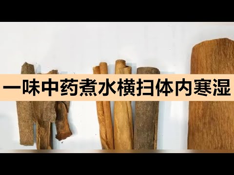 一味中药搭配煮水，能催动自身阳气，横扫体内寒湿#中医百科大全