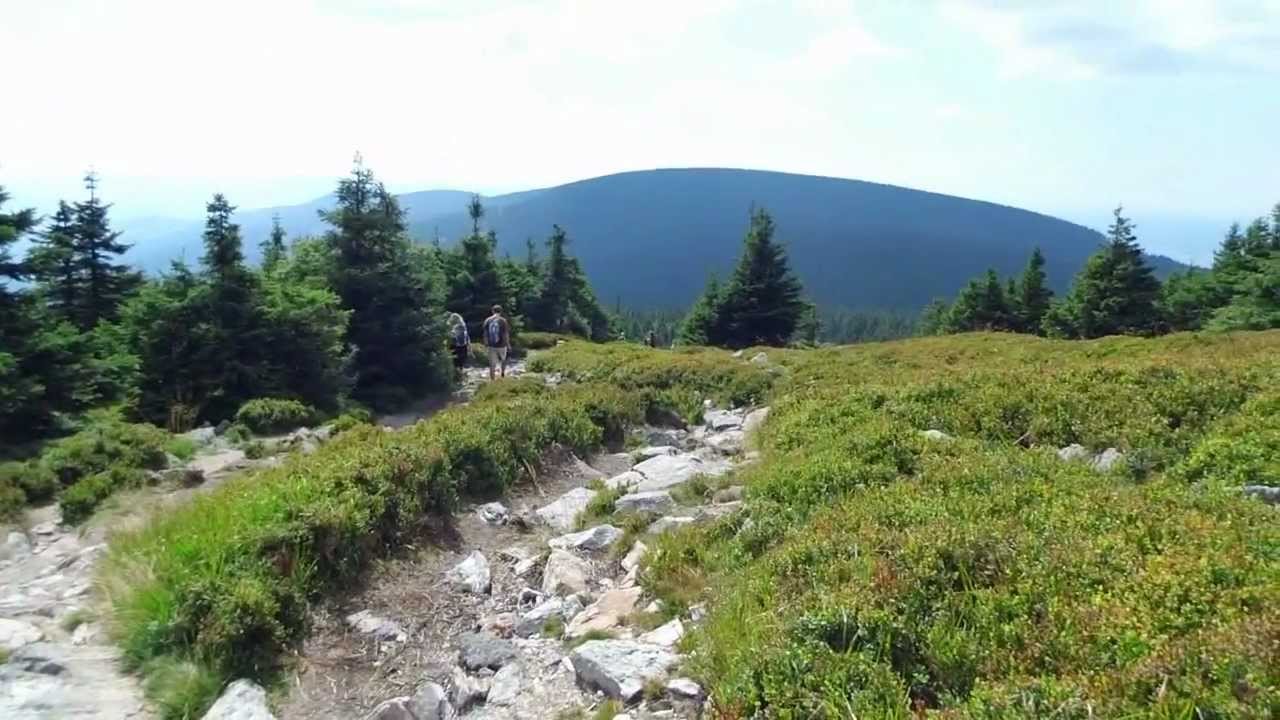 Czarna Góra   Śnieżnik 2012