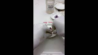 Pearl Mystery Box Live Stream