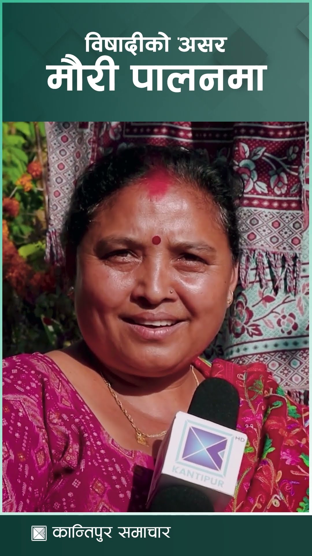 विषादीको असर मौरी पालनमा | Kantipur Samachar