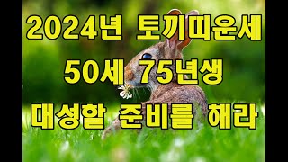 2024년 50세  75년생 토끼띠 운세  대성할 준비를 해라