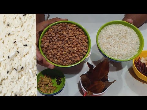 ভিডিও: চাল ও ময়দার বাগ আটকাতে কী করবেন