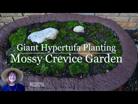 My Giant Hypertufa Planting - How to Make A Mossy Crevice Garden Outdoors in Hypertufa