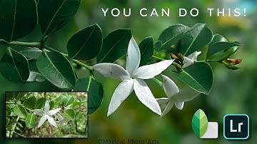 Snapseed & Lightroom Flower editing | Flower Photo Editing tutorial | Mobile Editing