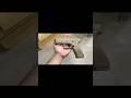 Glock 19X Austria #glock19X #glock #pistolfiring #viralvideo #everyone #everyoneeverywhere