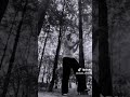 Member of South Korean Boy Group CMDM (Kim Seungho) danced to SB19's GENTO!