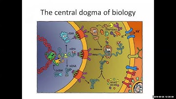 MIT CompBio Lecture 07 - RNA world, RNA-seq, RNA folding (Fall 