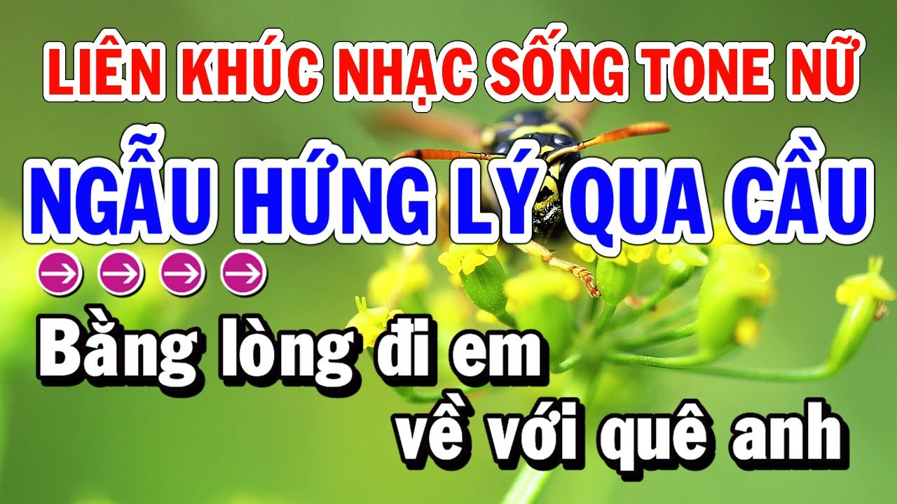 Karaoke Liên Khúc Tone Nữ Ngẫu Hứng Lý Qua Cầu Nhạc Sống Thành Lý Organ