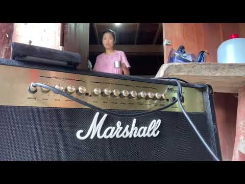 Marshall Mg250dfx (Vietnam) By Maxbaza