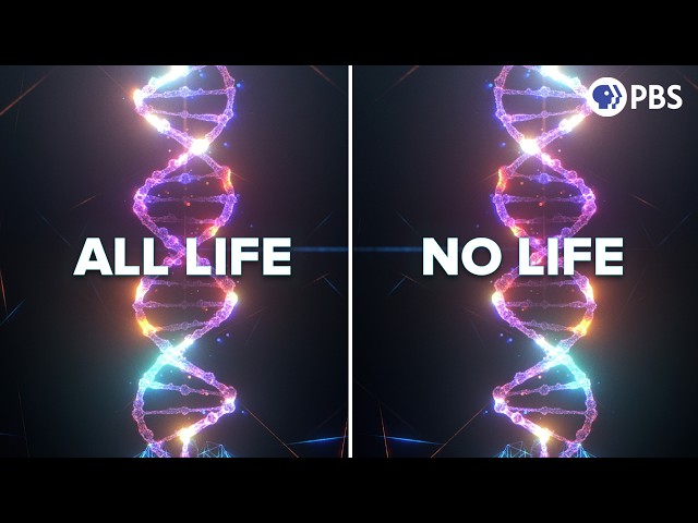 Why Is All DNA Right Handed?