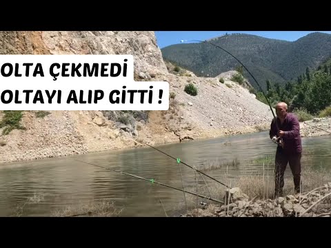 CANLI GÜMÜŞ LE BALIK AVI -OLTA ÇEKMEDİ !! OLTAYI ALIP GİTTİ !!-AT ÇEK SAZAN AVI