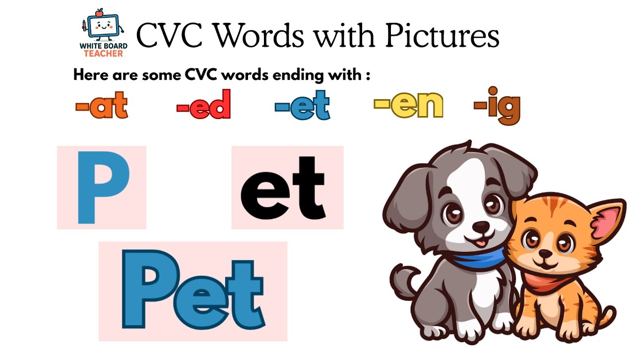 Phonics | CVC words -at -ed -en -et -ig | Read step by step 📚 White Board Teacher