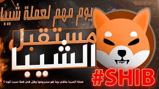 يوم اخر مهم لعشاق عملة شيبا اينو shiba inu coin