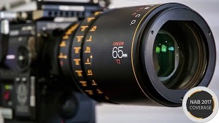 Atlas Lens Co Orion Series - Affordable Anamorphic Lenses