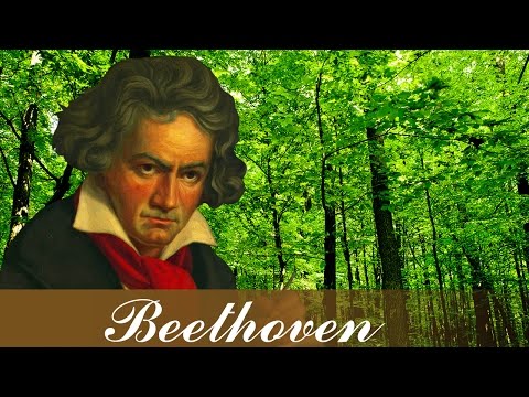 Music For Relaxation, Classical Music, Stress Relief, Instrumental Music, Beethoven, ♫E107