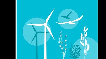 Ecology & Wildlife Conservation: Protecting Our Natural World | Enrol Now!