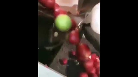 Automatic Fruit Sorting Machine | Amazing Fruit Processing