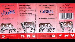 كافوزال Cafosal لتنشيط التمثيل الغذائي – حقن للاستعمال البيطري