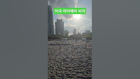 미국 마이애미 비치^^ 25.04.09