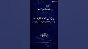 سورة#الفرقان#تلاوة_خاشعه#القارئ#اكسبلور#القرآن_الكريم#عبق#التلاوات#