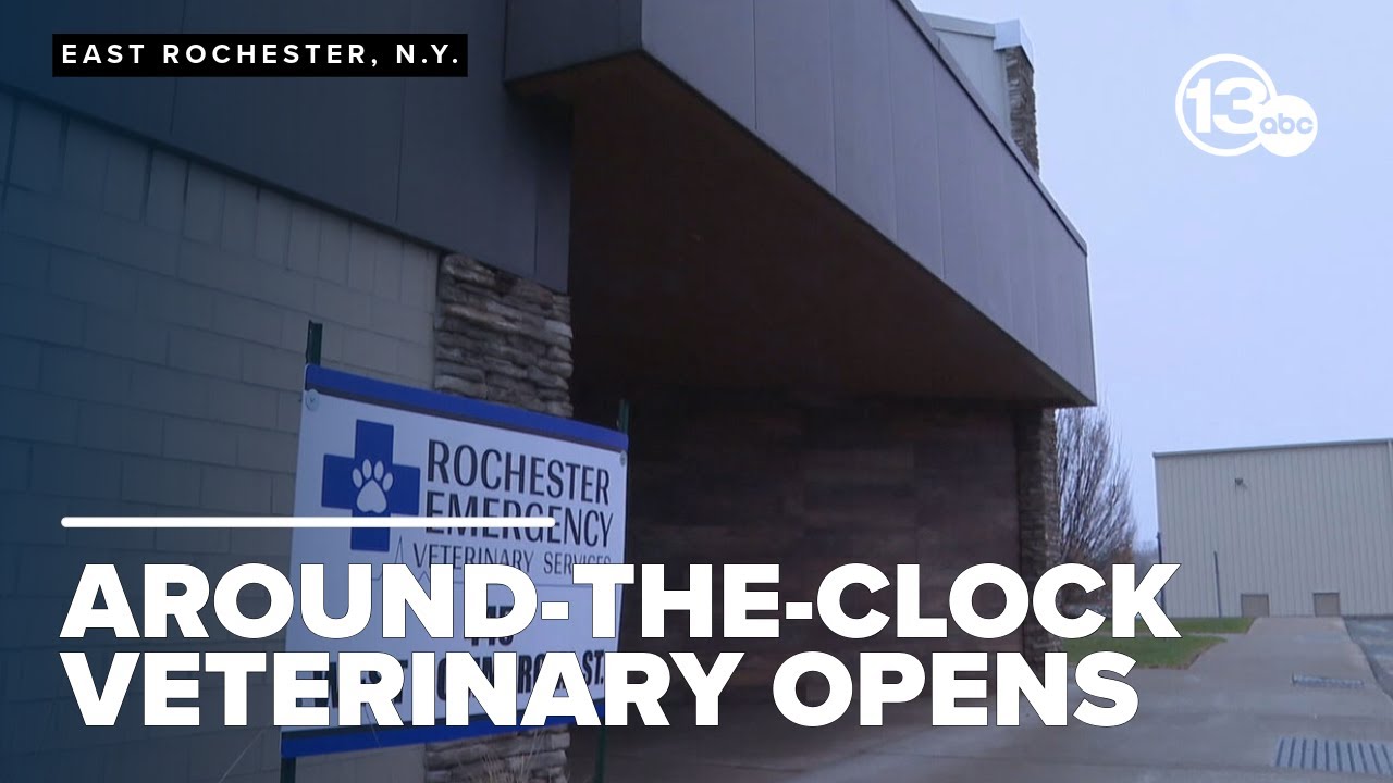 24/7 emergency pet care returns to Rochester through new facility's expanded hours