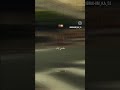 يزولو لمحان ويبقى التخمام يدور