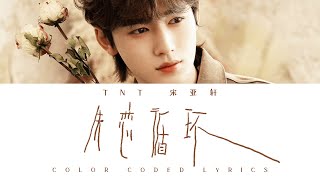 TNT宋亚轩 — 《失恋循环》认人歌词版 CN/PIN/ENG