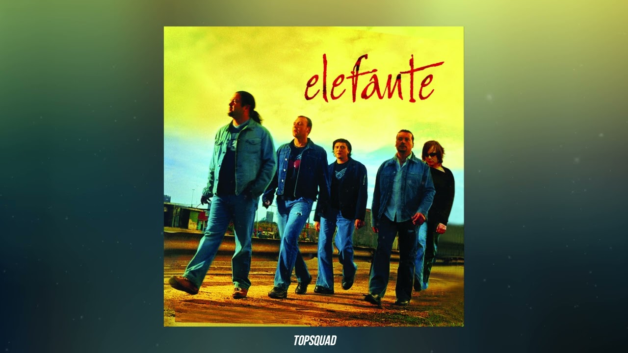 Elefante - Ángel