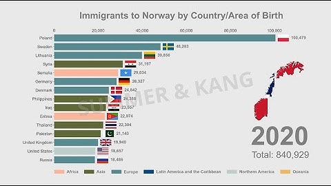 Top 15 Immigrants to Norway | 1990-2020 | Bar Chart Race | Data Visualisation