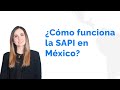 Generalidades de la sapi  por qu crear una sapi para startups mexicanas