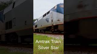 Amtrak Silver Star Fly #shorts #railfans #amtrak #trains