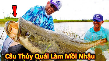 Thử Thách Câu Thủy Quái Làm Mồi Nhậu Và Cái Kết Không Tưởng || Bún Phở REVIEW
