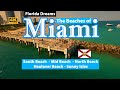 The beaches of miami  southmidnorth beach haulover beach  sunny isles