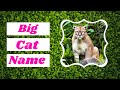 Big Cat Names 2021 ! What Is The Biggest Wild Cat In The World