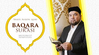 Baqara surasi | Shayx Alijon qori