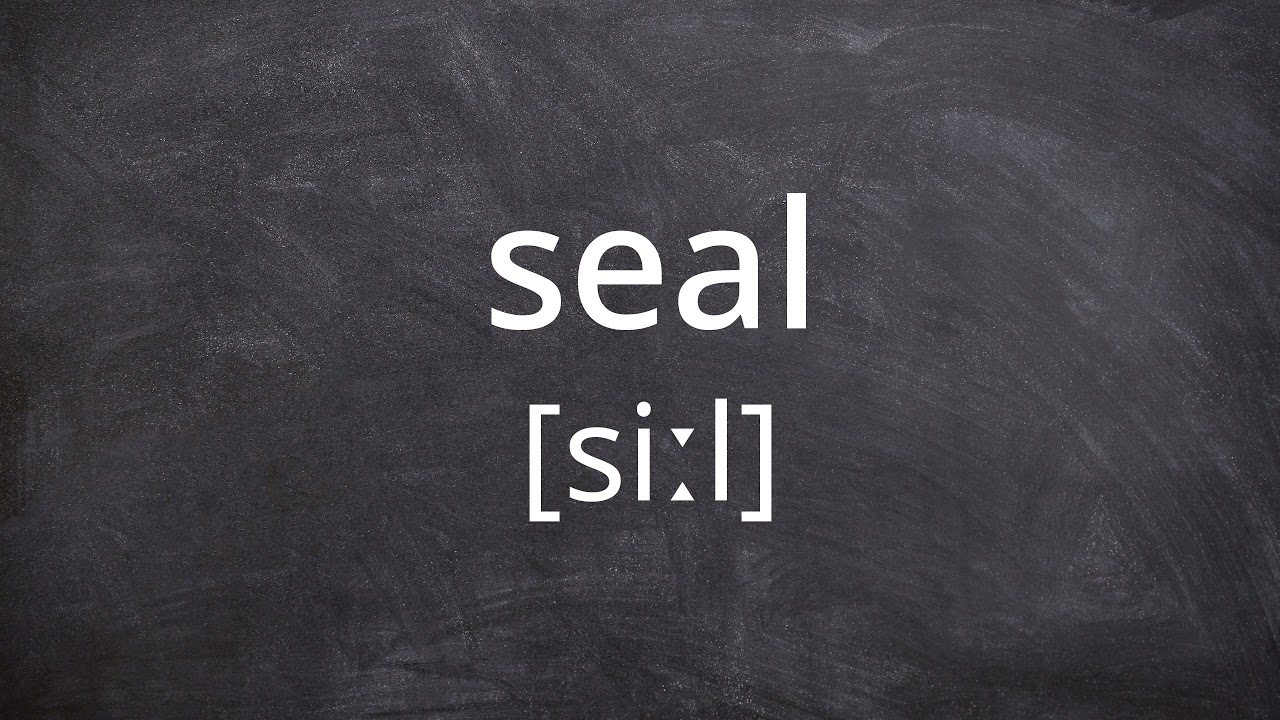 SEAL Pronunciation in American English YouTube