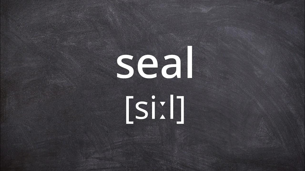 SEAL Pronunciation in American English YouTube