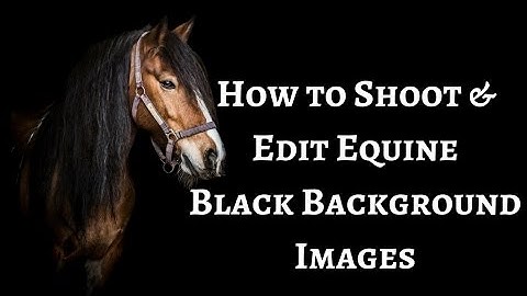 How to Shoot & Edit Equine Black Background Images, Using Lightroom - Sophie Callahan Photography