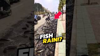 If You See Fish Falling From The Sky, RUN IMMEDIATELY! 😨