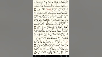 ماهر المعيقلي سورة الأنبياء مكتوبة صفحة 330 مصحف المدينة المنورة جودة عالية