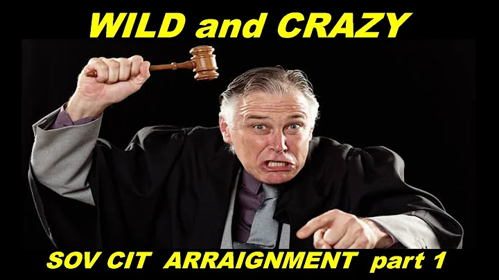 WILD & CRAZY SOVEREIGN CITIZEN ARRAIGNMENT part 1