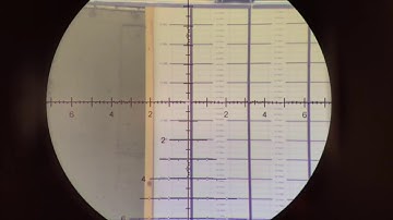 Short Action Customs: Final Scope Level- How To