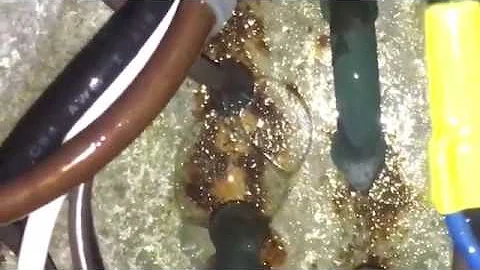 How to Locate Refrigerant Leaks in a Evaporator in a Walk-in cooler.