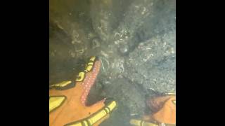 Scuba Diving Car Found Underwater