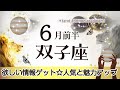 ふたご座さんへ️♊️【6月前半】魅力や評価がアップする☆スキル・資格が自分の武器になったり評価を受け人望がチャンスを呼び欲しい情報をゲット☆ポ:ゆっくりゆとりを持つ☆聴くと運気があがるreading