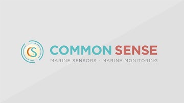 COMMON SENSE Project Video 2017