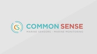 COMMON SENSE Project Video 2017