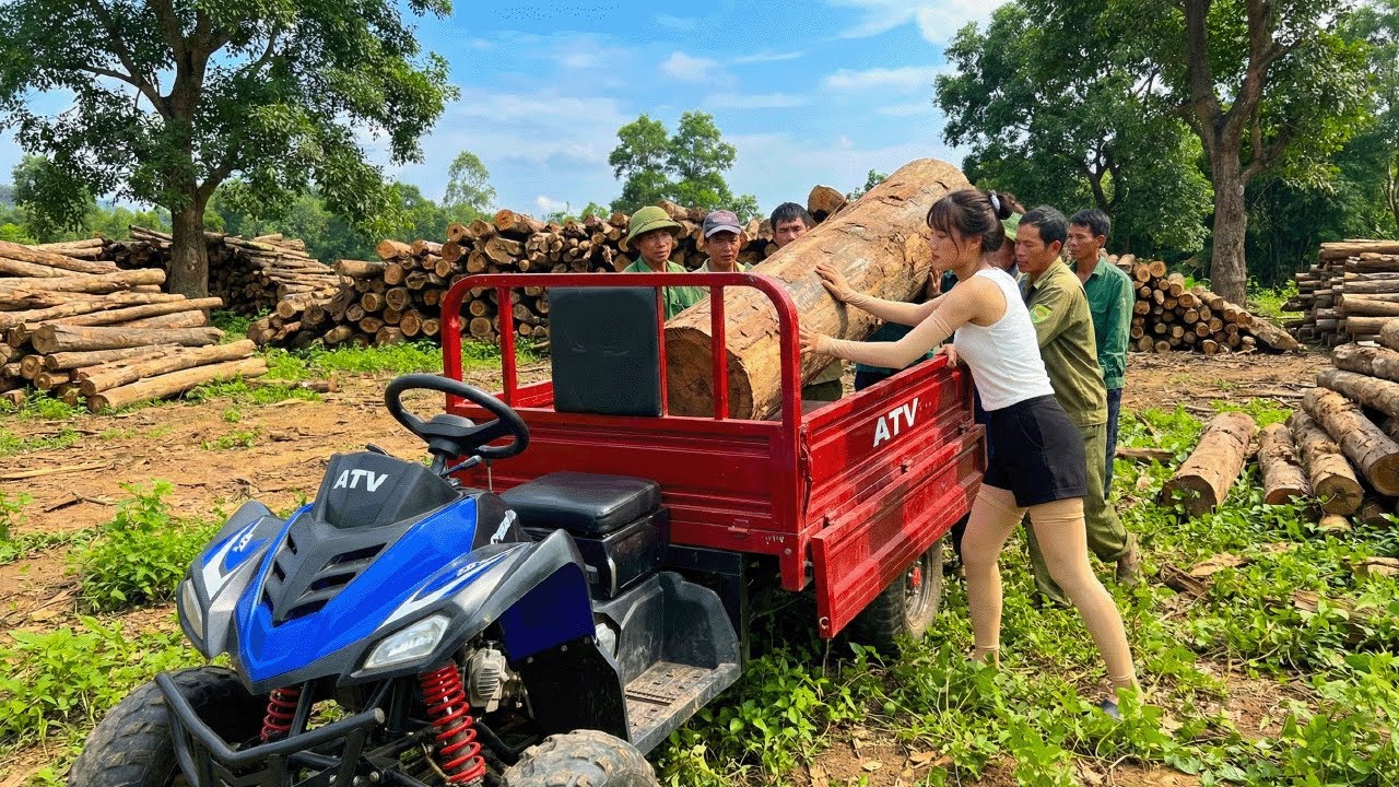 Using A Four Wheel Truck To Harvest Timber To Build A New House, Rural Life Peaceful