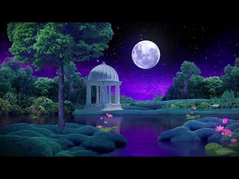 Beautiful Night 💜 Tranquil Sleep Music 🎵 Fall Into Deep Sleep Fast & Easy